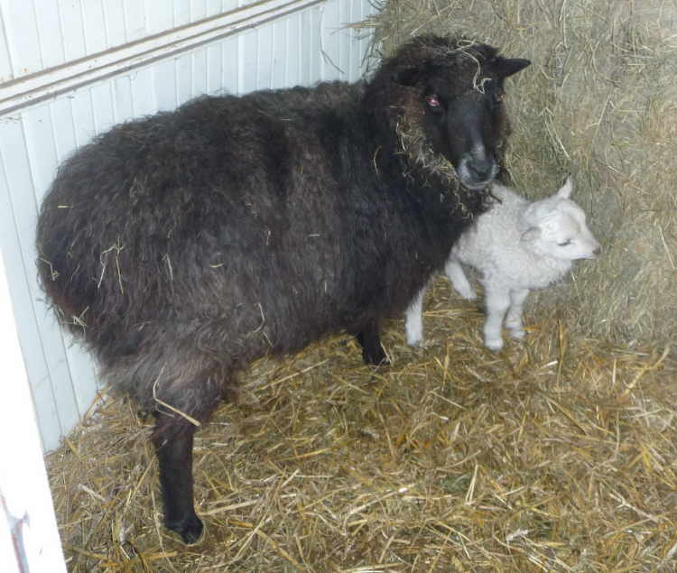 Winterkind 21-12-2010 (Bckchen)